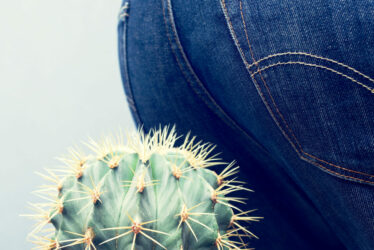 Men's ass sits down on a cactus. Conceptual image of a hemorrhoi